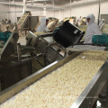 China high quality peeled fresh Frozen garlic cloves